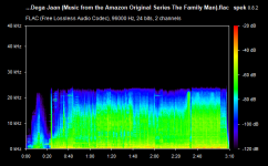 01. Dega Jaan (Music from the Amazon Original Series The Family Man).flac.png