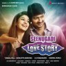 Seenugadi Love Story (Telugu) [2015] (Sony Music)