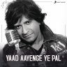 Yaad Aayenge Ye Pal (Remembering KK) (Hindi) [2022] (Sony Music)