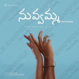 Nuvvamma - Single (Telugu) [2024] (Sony Music)