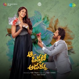 Aa Okkati Adakku (Telugu) [2024] (SaReGaMa)