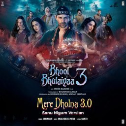 Mere Dholna 3.0 [From "Bhool Bhulaiyaa 3"] (Hindi) [2024] (T-Series)