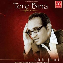 Tere Bina (Hindi) [2003] (T-Series)