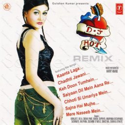 DJ Hot Remix (Hindi) [2003] (T-Series)